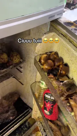 Nên vứt hay có cách nào xử lý không mn? Tui khổ quá mà 🥹 
