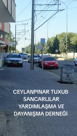 #ceylanpınar #ceylanpinar #mehmetbeken #memobeken #fyppppppppppppppppppppppp 