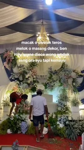 macak o seng jelek🤫🤣#arekdekormalang #bismillahfyp #fyp24jam #decorationwedding #pejuangdekor😍 