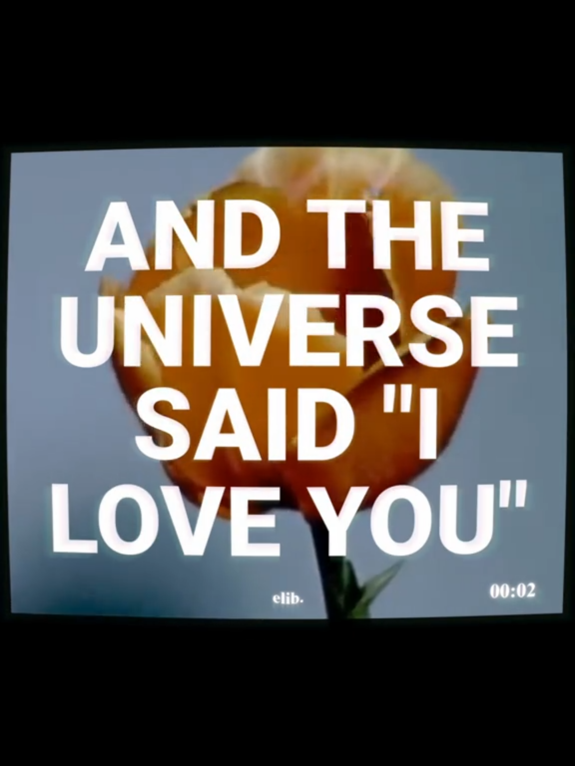 And the Universe said: 