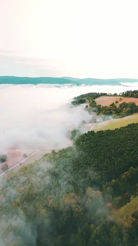Lost in the mist, yet closer to clarity ☁️😌 #drone #stay #earth #haze #landscape @DJI Official @Earth @Sony Alpha 