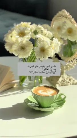 صباح الخير 💚💚 #قهوتي #صباح_الخير #عبدالرحمن_مسعد 