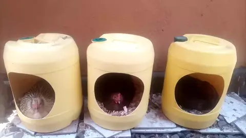 Feeling of ownership,weeh,if you trying you just feel it in your skin.Simple,secure and loved.@Ultimate Art Stores Nairobi #ORDERS #PLASTICRECYCLING #MONETIZATION #SAVINGPLANET 