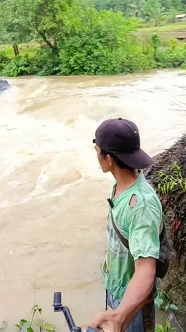 kalah bingung bosku #dsungai #fypシ゚viral 