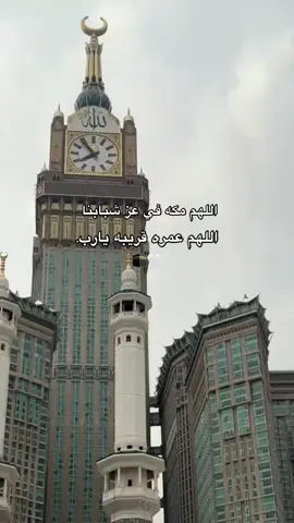 امين يارب العالمين 🥹🥹 #قران_كريم #قران_كريم_ارح_سمعك_وقلبك♡ #القران_الكريم_راحه_نفسية😍🕋 #القران_الكريم_نور_القلوب #القرآن_الكريم 