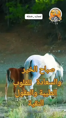 مناضرطبيعية#خنشلة40🥰👰❤🤴😇 #اصيل الشاوي✨ #شاوية_احرار_بانوو_هنا😍  #خنشلة_باتنة_ام_البواقي_سطيف_شاوية 