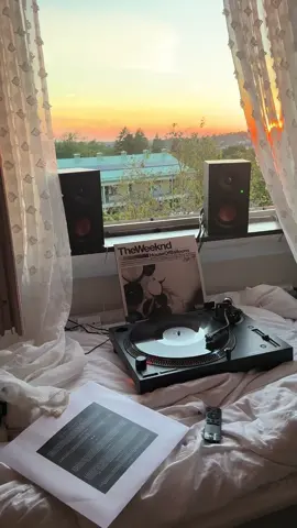 ALL ALONEEEEE #fyp #houseofballoons #theweeknd #comingdown #vinyl 