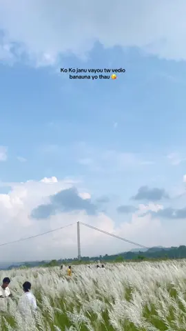 #dangmuser_nepal #tulsipur_dang #viralvideo #bankatta #viral 