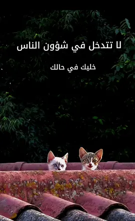 لا تتدخل في شؤون الناس #الشيخ_محمد_بن_صالح_العثيمين_رحمه_الله #مصراتة_طرابلس_بنغازي_زليتن_الخمس_الزاويه #ليبيا #مصراتة #اللهم_صلي_على_نبينا_محمد 
