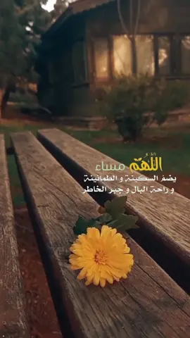 #في هذا اليوم 