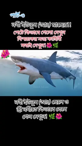 #.!!নবী ইউনুস (আঃ) মাছের!!পেটে কিভাবে গেলো দেখুন বিস্ময়কর সত্য কাহিনী সবাই দেখুন!🌿#fvpシ #ইসামিক_ভিডিও #foryou#foryoupage #কথাগুলো_শুনে_যাবেন_প্লিজ #foryou ?