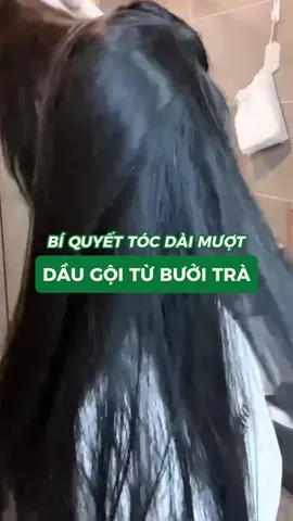 Bí quyết cho mái tóc dài mượt mà #cocayhoala #daugoi #buoitra #tuhaohangviet #BeautyTok 