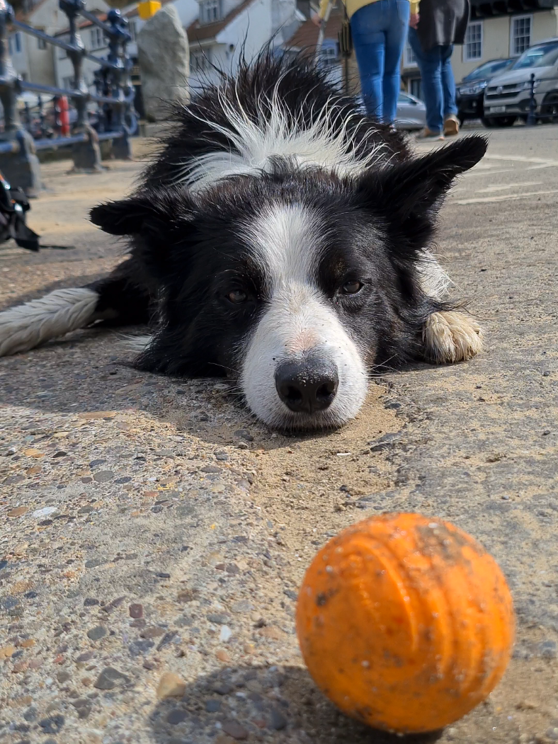 What I believe goes through his mind before a epic fetch