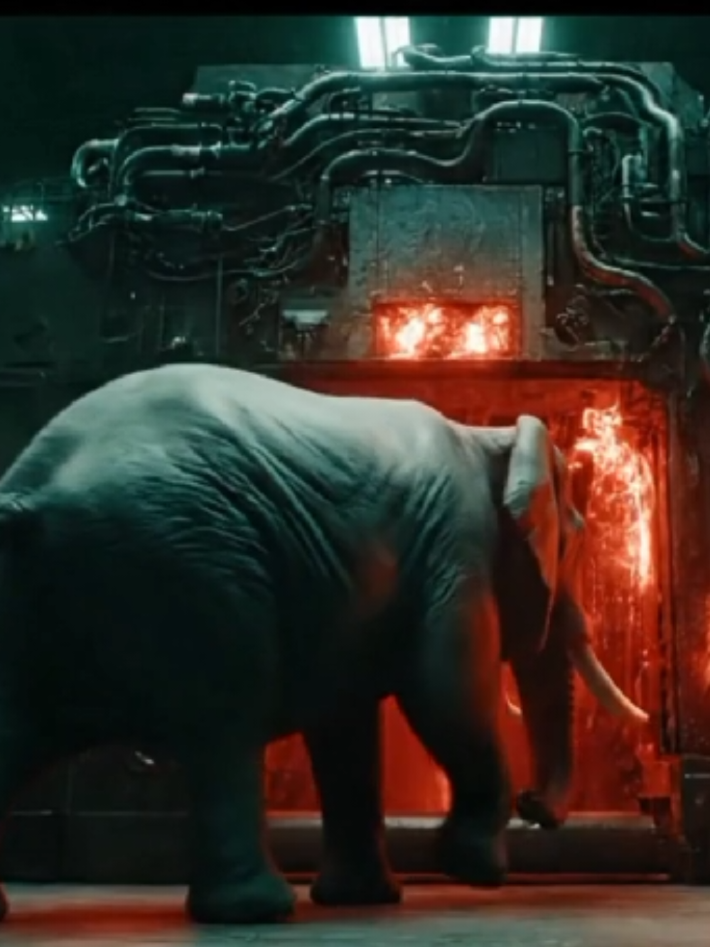 Realistic Industrial Laboratory #elephant #meat #foryoupage #tiktokpakistan #aivideos 