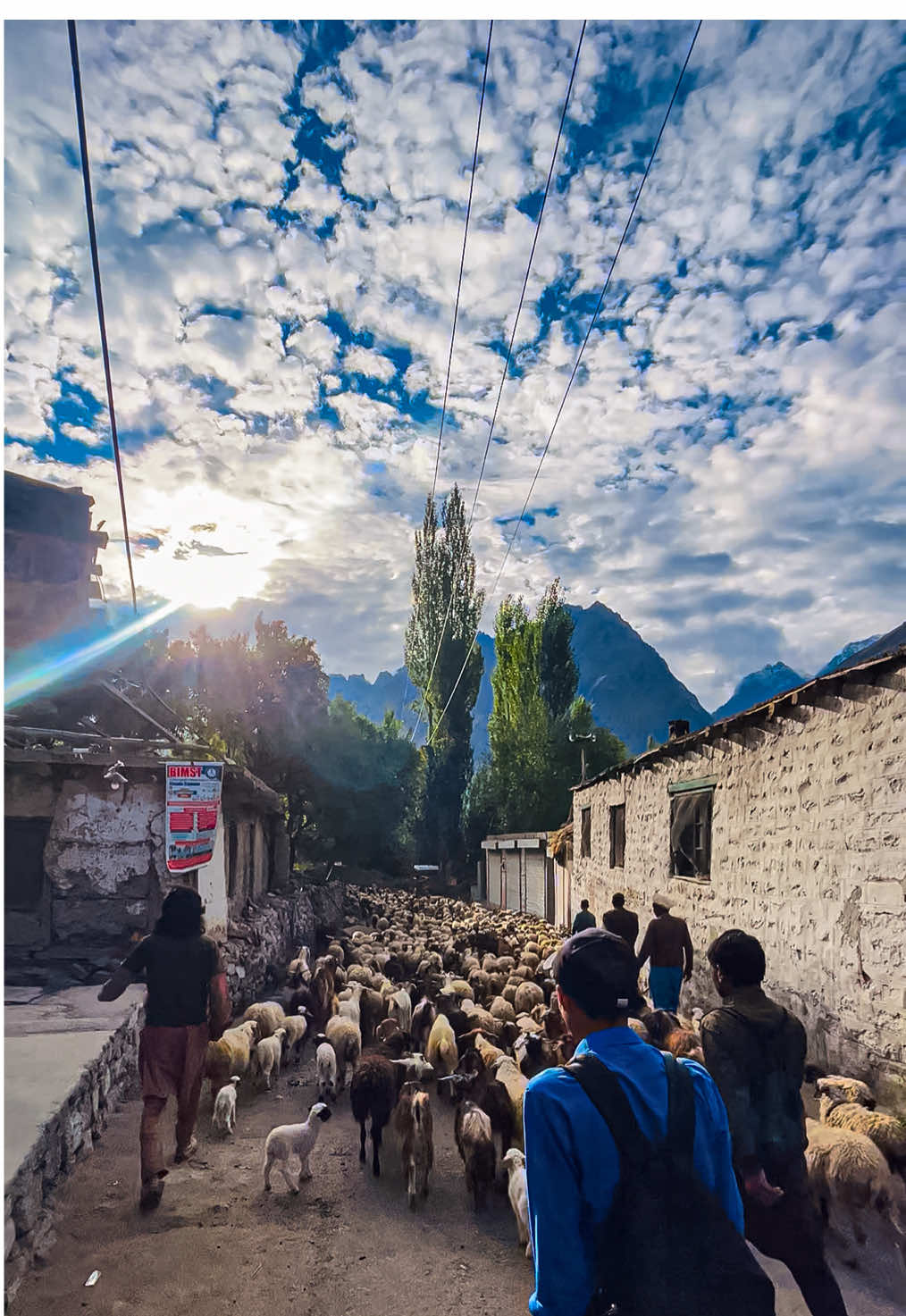 Morning traffic in the mountains 🐑✨ Pure village vibes from Gilgit-Baltistan 🏔️  #MorningTraffic #MountainVibes #SheepLife #VillageVibes #NatureLovers 