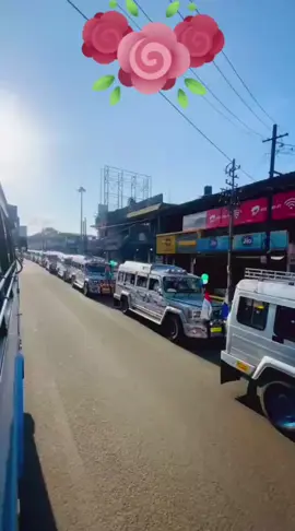 CAR rally 