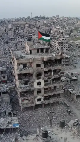 الأرض تُدمَّر، لكن رايات غزة لا تنكسر.. الصمود حياة ✊🇵🇸