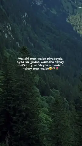 jaceyl🫶🏻💕🌷😭#fypシ゚viral🖤tiktok☆♡🦋myvideo🤗foryou #viewslaaan🥺💔😭 #foryoupage #fouryou #fypシ゚ 