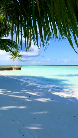 🏝️☀️ #maldives #paradise #travelcontent #relaxing #ocean 