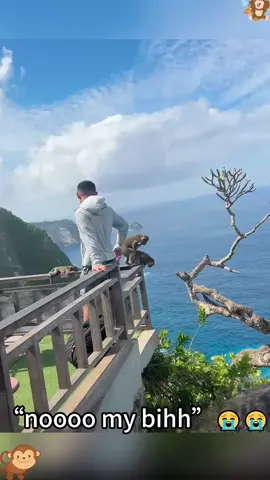 Monkey🤣😂🐵#foryou #usa🇺🇸 #fyp #monkey 