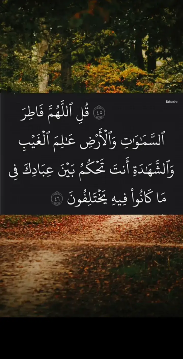 🤍🙄 #ئایەتێک_لە_قورئانی_پیرۆز  #imravo✅ #foryou #foryoupage #vaiprofycaramba 