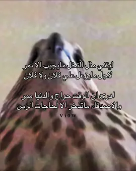 #fyp #4u #شعر #قصيد #ظافر_الحبابي 