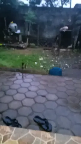 ujan lebat