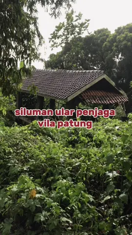 vila siluman ular cianjur , konon di di vila ini ada sosok ular kepala manusia yg sering muncul di tempat ini #fyp #bangdullofficiall #silumanular #horror #vilaangker 