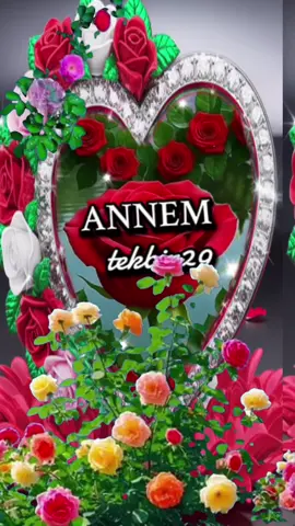 #viral_video_tiktok_treding 