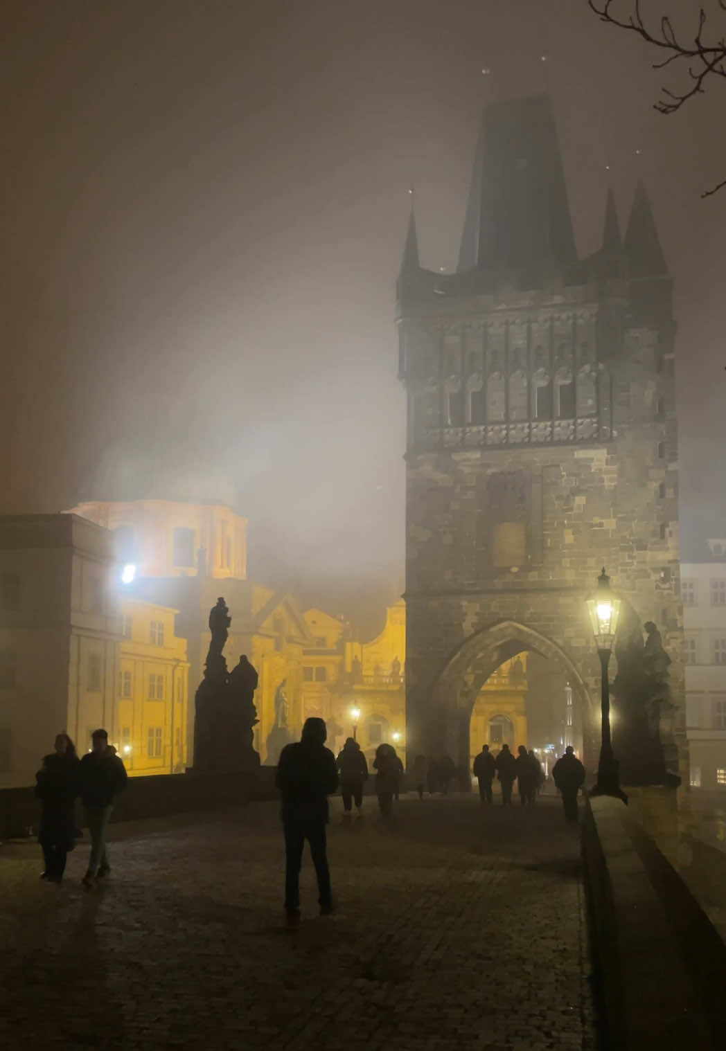 Když se z mlhy vynoří věže Karlova mostu a od Vltavy stoupá pára, je to nezapomenutelné 🌫️ #prague #prag #praga #прага #cesko        