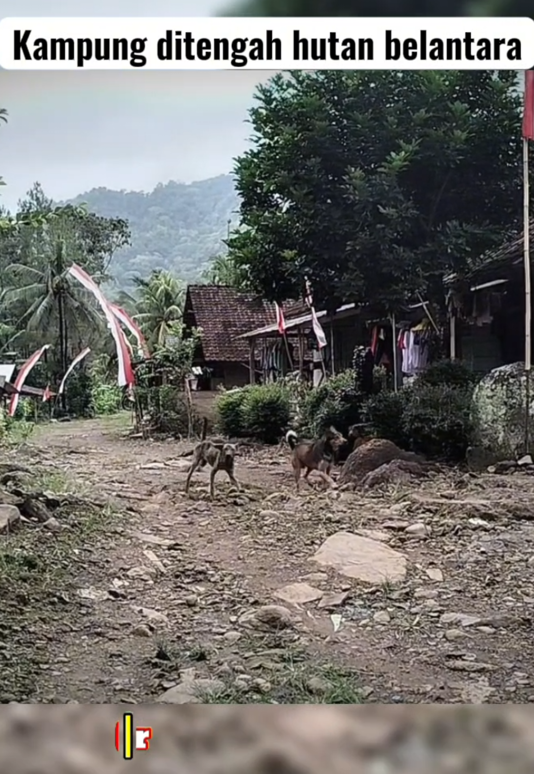 Absen dong tretan, yang nonton video ini dari kota mana ??  jangan lupa saksikan video fullnya diyoutube penjelajah amatir #penjelajahamatir 