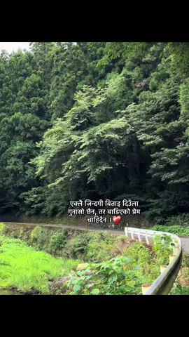 एक्लै जिन्दगी बिताइ दिउँला गुनासो छैन, तर बाडिएको प्रेम चाहिदैन ।❤️‍🩹 #fyp #fypツ 