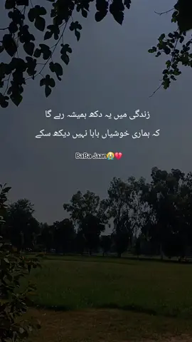 ہماری خوشیاں بابا نہیں دیکھ سکے #fypviralシ #foruyou #viralvideos #unfreezemyacount #onemillionaudition 