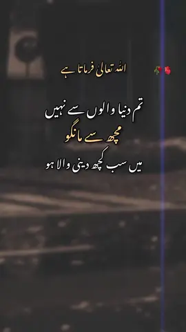Allah Tala Farmata Hain 🥀🫀        #fypシ #growmyaccount #100kviews #poetrystatus #foryoupage 