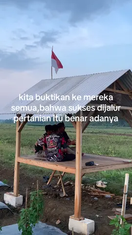 🤙🤙#fyp #blora24jam #senimanpertanian #petaniindonesia🇮🇩🇮🇩🇮🇩🌿🌿 #petanicabai🌶️🌶️🌶️ 