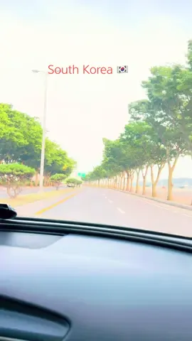 #korea🇰🇷 #carlover #audi #enjoydriving #tiktok 