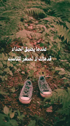 لا تقاس القلوب بالمقاسات الضيّقة #fyp #خواطر_عبارات_اقتباسات #حكم #اكسبلور #foryo 