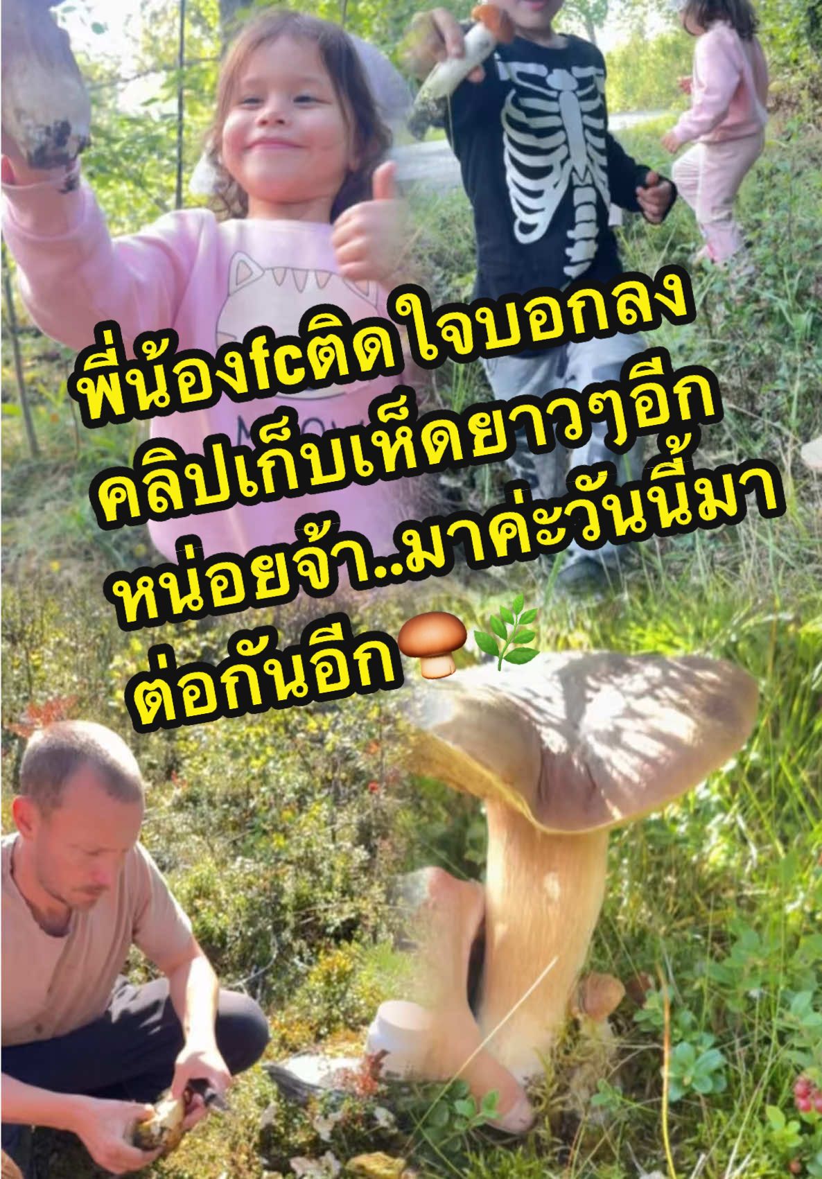พี่น้องfcติดใจบอกลงคลิปเก็บเห็ดยาวๆอีกหน่อยจ้า..มาค่ะวันนี้มาต่อกันอีก🍄‍🟫🌿 และในระหว่างทางกลับมีเหตุทำให้ต้องหยุดรถกระทันหันมีอะไรไปดูกันค่ะ!🤔  #bbfamily #สะใภ้สวีเดน #เก็บเห็ดสวีเดน#แม่บี #สามกุมาร 