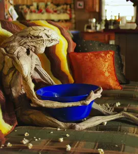 This man keeps an alien creature as a pet.#fypシ #movie #film #foryou #usa 