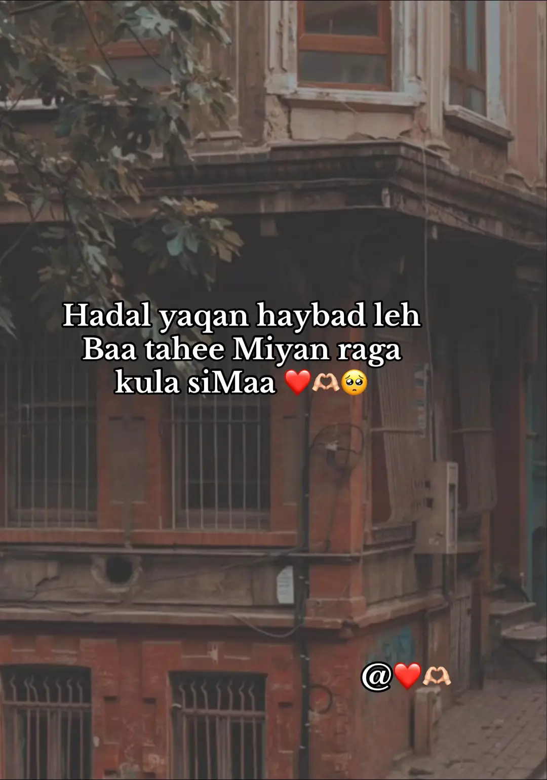 #reposted ..❤️😍