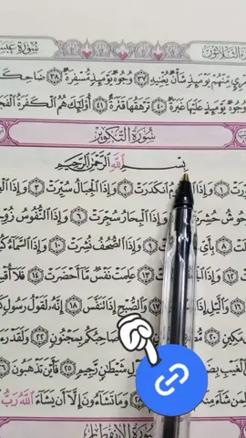 #islamic_video #catsoftikto #viral 