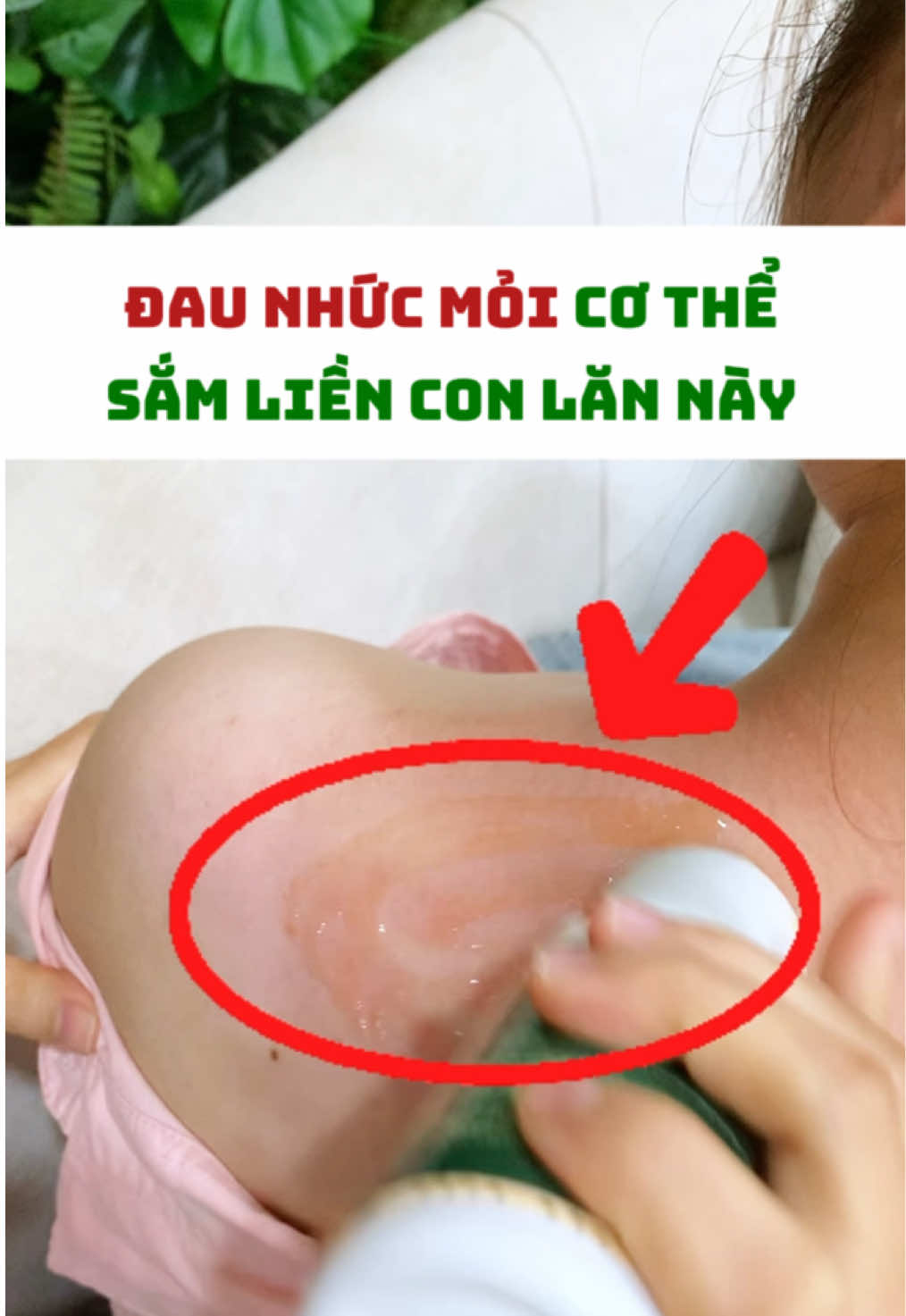 Mọi người sắm liền cái Con lăn gừng ngải cuo cả gia đình mình dùng nhé 🥰🥰 #bachmocplus #conlangungngai #conlanmassage #massage #covaigay 