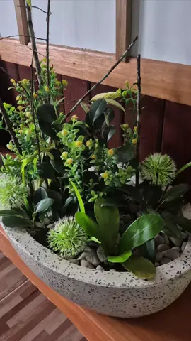 Merangkai bunga hidup dan bunga  artifisial. Bisa aja..🫠😉 #artifisialflowers#bungasegar#ikebanaflowers #greenflowers #hobbibunga