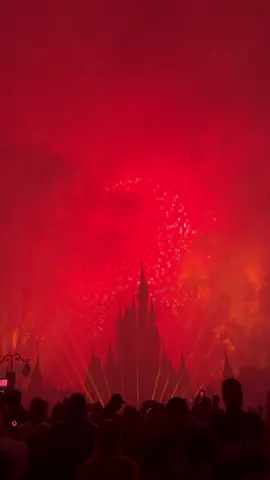 Mickeys Not So Scary Halloween Party got rained out.  The parade was canceled and it started pouring during the fireworks! The spookiest view of the castle I have ever seen! #enchantedmemoriestravel #magickingdom #mickeysnotsoscaryhalloweenparty #fireworks #disneytok 
