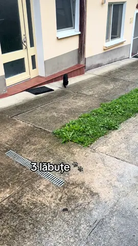 #traifit