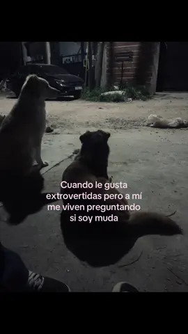 🥺