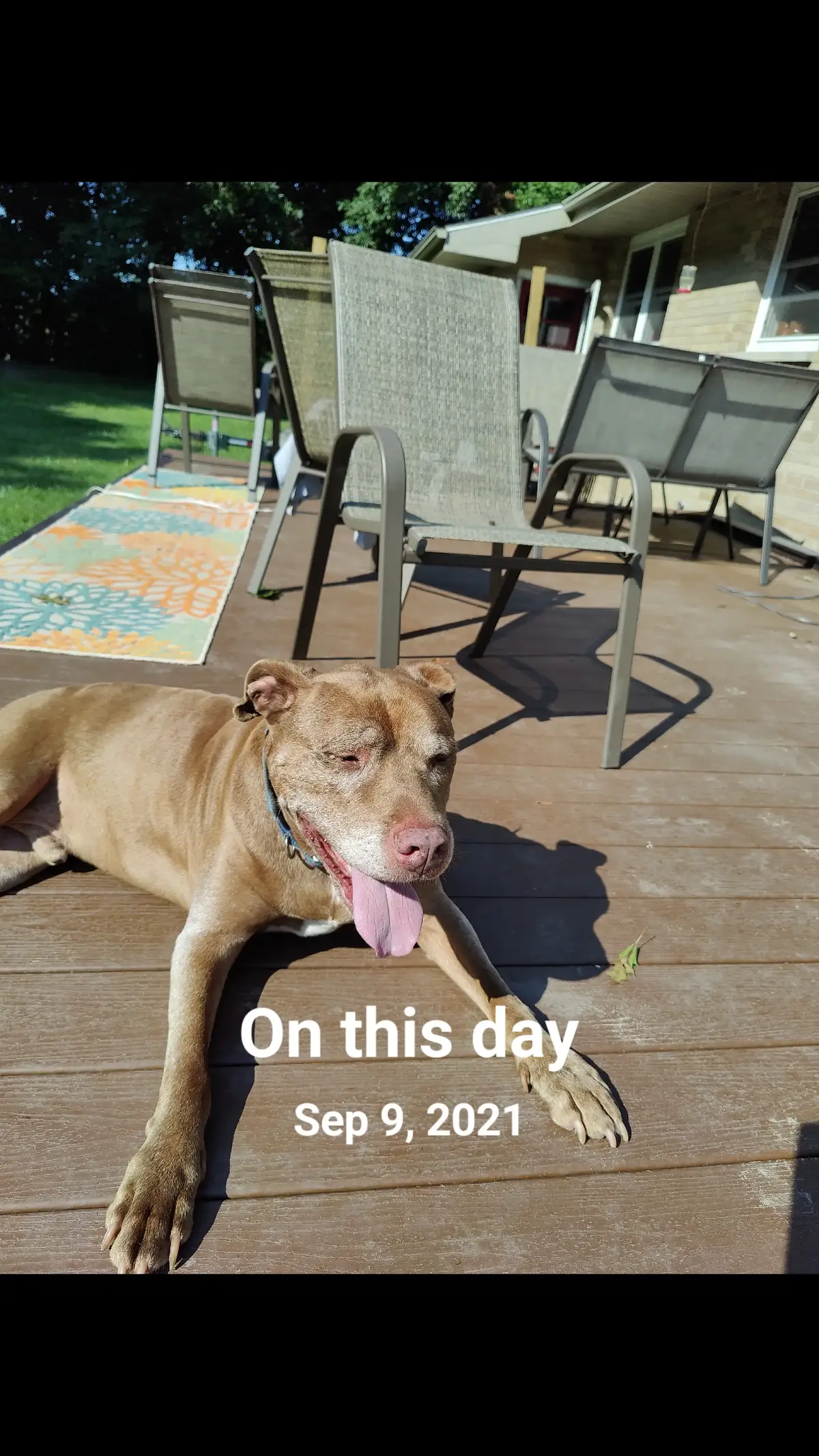 #onthisday 