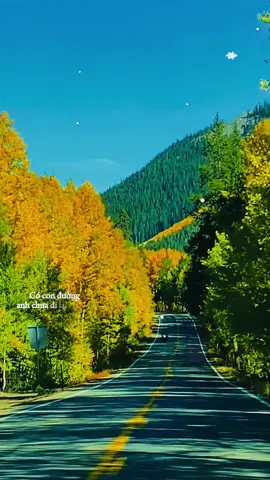 Có những con đường anh chưa đi lại lần hai#fyp🧡🍁🍂💛 