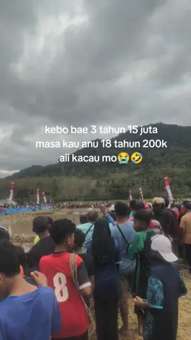 nongka aku😭🤣#adatsumbawa #kejaruntungruntung #barapankebo #fyppppppppppppppppppppppp #sad 