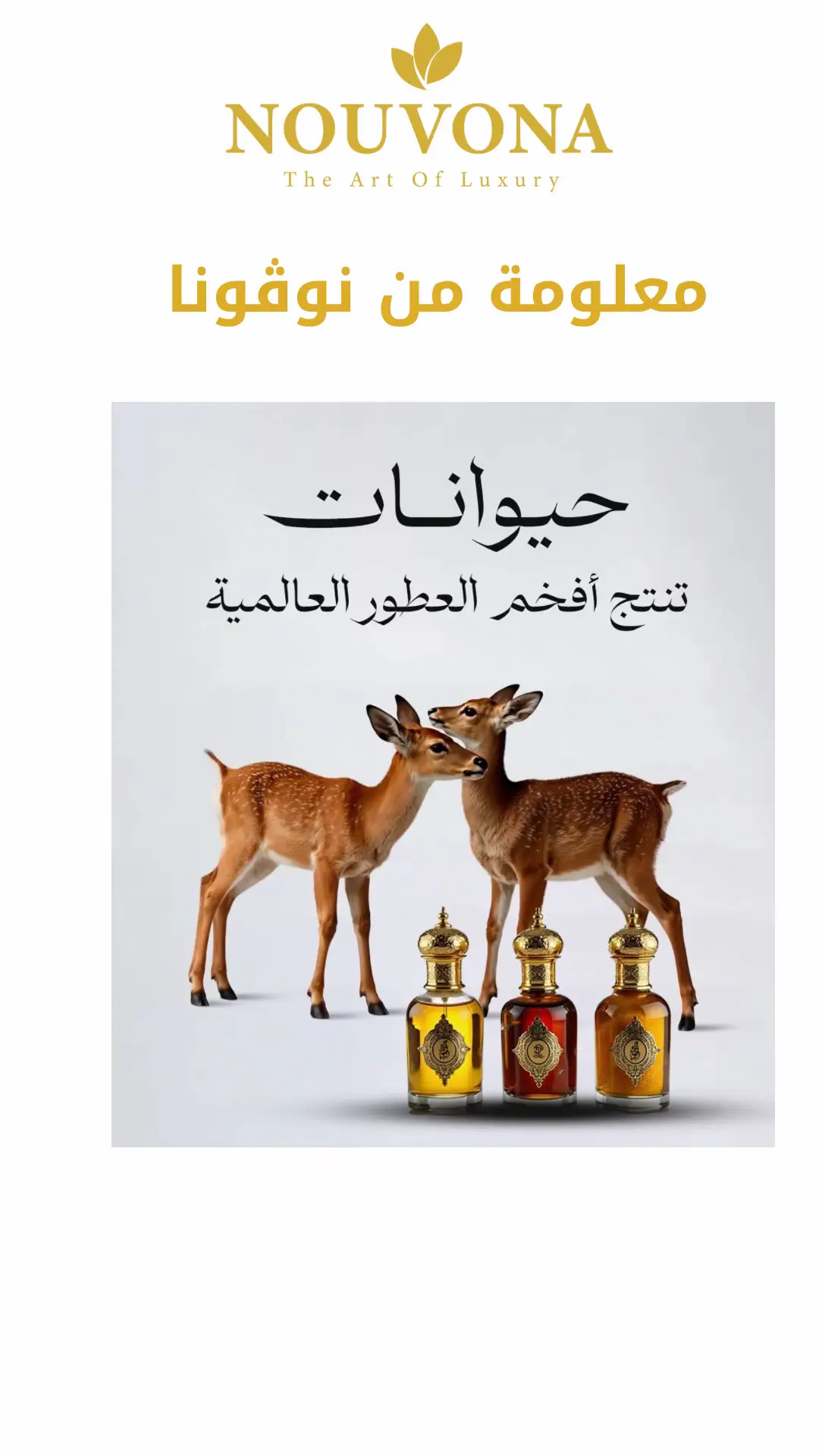 #عطر_نسائي #معلومة_علمية#عطور_ماركات_عالمية #عطورات_أصلية #هدايا 